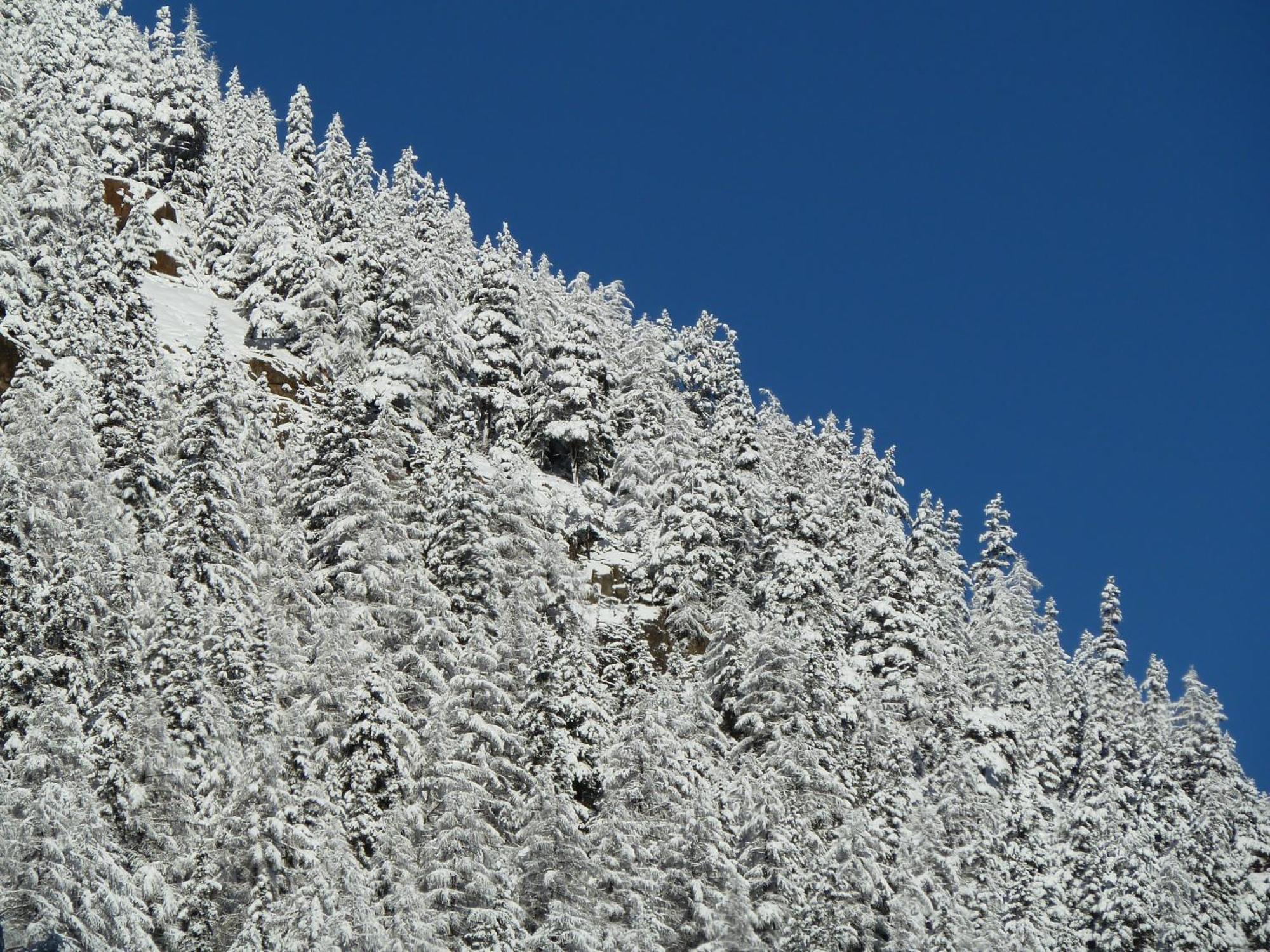 Appartement Gurgl Obergurgl Luaran gambar
